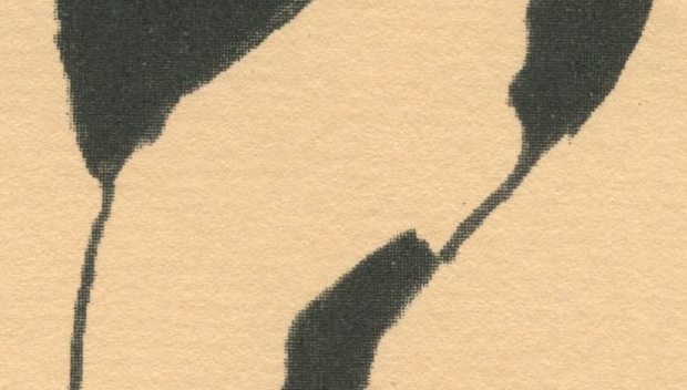 pastel-paper-type-2